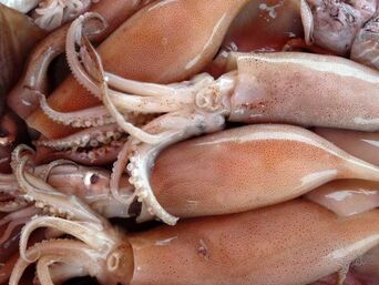 Alina and her husband ate raw shellfish and became infected with parasites