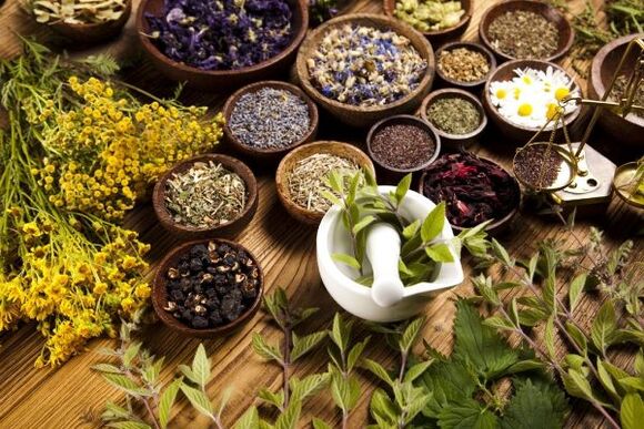 herbs to eliminate parasites from the body